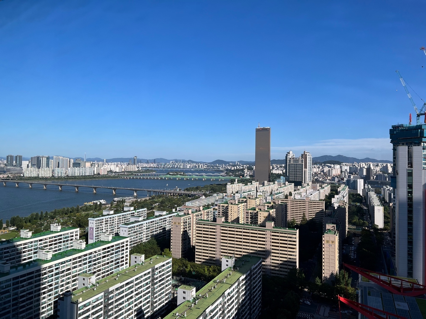 이미지명